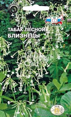 Цветы Табак лесной Близнецы (0,1г) Седек
