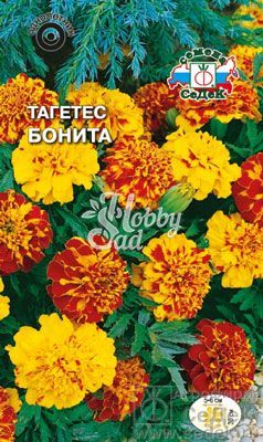 Цветы Тагетес Бонита низкорослый (смесь) (0,2 г) Седек