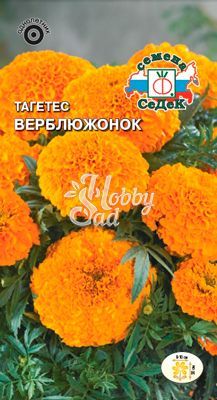 Цветы Тагетес Верблюжонок (0,3 г) Седек