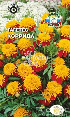 Цветы Тагетес Коррида (0,1 г) Седек