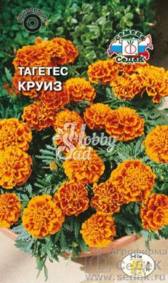 Цветы Тагетес Круиз (0,2 г) Седек