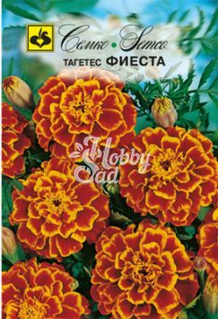 Цветы Тагетес Фиеста (0,3 г) Семко