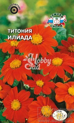 Цветы Титония Илиада (ярко-красная) (0,5 г) Седек