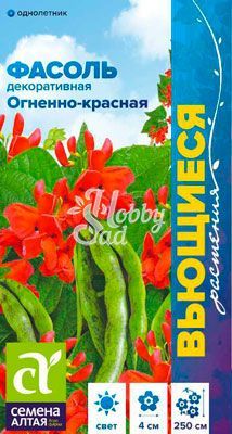 Цветы Фасоль вьющаяся Огненно-красная (5 г) серия Вьющиеся растения Семена Алтая