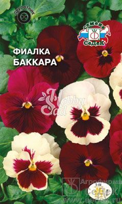 Цветы Фиалка  Баккара (смесь) (0,1 г) Седек