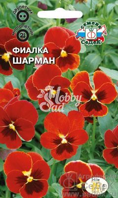 Цветы Фиалка  Шарман рогатая (0,1 г) Седек
