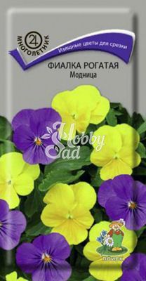 Цветы Фиалка (Виола) Модница рогатая (0,1 г) Поиск