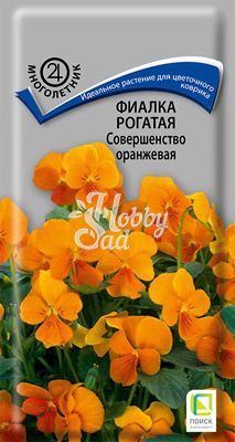 Цветы Фиалка (Виола) Совершенство оранжевая рогатая (0,1 г) Поиск