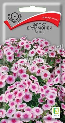 Цветы Флокс Аллюр друммонди (0,1 г) Поиск