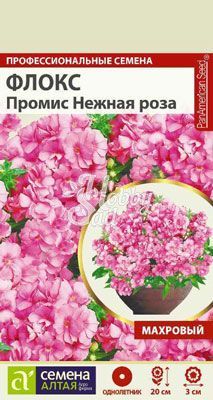 Цветы Флокс Промис Нежная роза махровый (5 шт) Семена Алтая