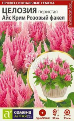 Цветы Целозия Айс Крим Розовый факел перистая (10 шт) Семена Алтая