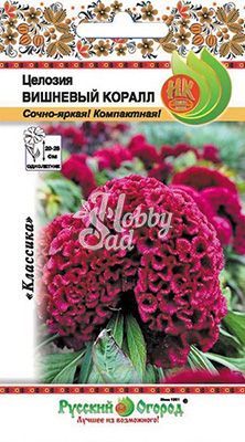 Цветы Целозия Вишневый коралл (60 шт) Русский Огород