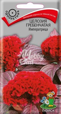 Цветы Целозия Императрица гребенчатая (0,1 г) Поиск