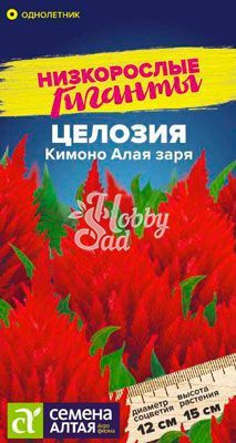 Цветы Целозия Кимоно Перистая Алая заря (10 шт) Семена Алтая серия Низкорослые гиганты