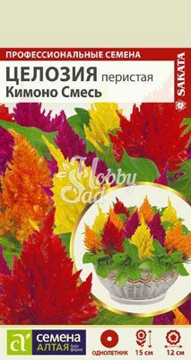Цветы Целозия Кимоно Перистая смесь (10 шт) Семена Алтая