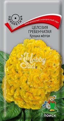 Цветы Целозия Крошка желтая гребенчатая (0,1 г) Поиск