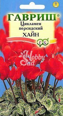 Цветы Цикламен Хайн персидский (3 шт) Гавриш