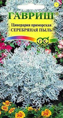 Цветы Цинерария приморская Серебряная пыль (0,1 г) Гавриш 