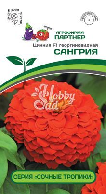 Цветы Цинния "Сочные тропики" Сангрия F1 георгиновидная (4 шт) Партнер 