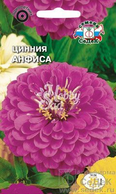 Цветы Цинния Анфиса (0,5 г) Седек