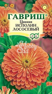 Цветы Цинния Исполин лососевый (0,3 г) Гавриш