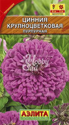 Цветы Цинния Крупноцветковая Пурпурная (0,3 г) Аэлита