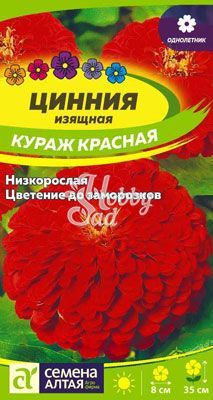 Цветы Цинния Кураж Красная карликовая (0,3 г) Семена Алтая