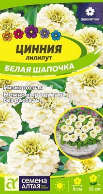 Цветы Цинния Лилипут Белая Шапочка (0,3 г) Семена Алтая