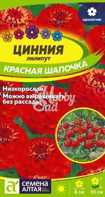 Цветы Цинния Лилипут Красная Шапочка (0,3 г) Семена Алтая