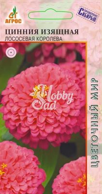 Цветы Цинния Лососевая Королева изящная (0,5 г) Агрос