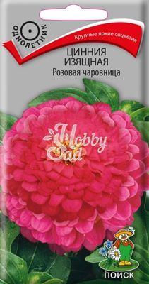 Цветы Цинния Розовая чаровница изящная (0,4 г) Поиск