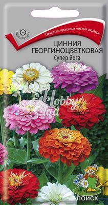 Цветы Цинния Супер Йога смесь георгиноцветковая (0,4 г) Поиск