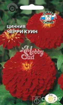 Цветы Цинния Черри куин (0,5 г) Седек