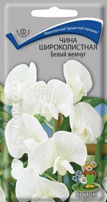Цветы Чина Белый жемчуг широколистная (посевная декоративная) (0,3 г) Поиск