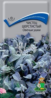 Цветы Чистец Овечьи ушки (Стахис) шерстистый (0,1 г) Поиск