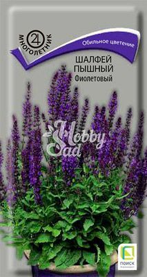 Цветы Шалфей пышный Фиолетовый (дубравный)  (0,1 г) Поиск