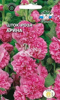 Цветы Шток-роза Арина розово-малиновая (0,1 г) Седек