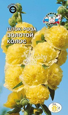 Цветы Шток-роза Золотой колос желтая (0,1 г) Седек