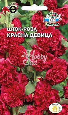 Цветы Шток-роза Красна девица ярко-красная (0,1 г) Седек