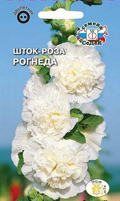 Цветы Шток-роза Рогнеда белая (0,1 г) Седек