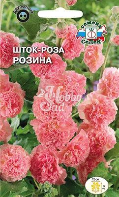 Цветы Шток-роза Розина лососево-розовая (0,1 г) Седек