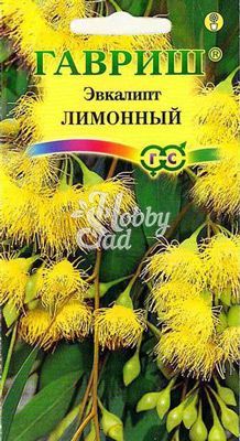 Цветы Эвкалипт лимонный Флагман (0,05 шт) Гавриш 