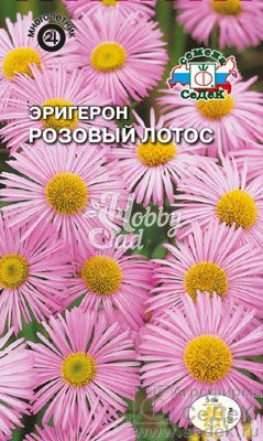 Цветы Эригерон Розовый лотос (0,1 г) Седек