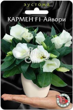 Цветы Эустома Кармен F1 Айвори горшечная (лизиантус) (5 шт) Биотехника