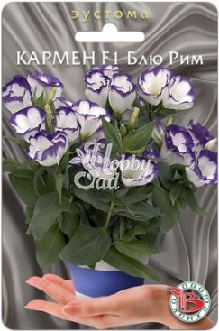 Цветы Эустома Кармен F1 Блю Рим горшечная (лизиантус) (5 шт) Биотехника
