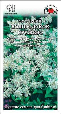 Цветы Эуфорбия Вологодское кружево (0.2 г) Сотка