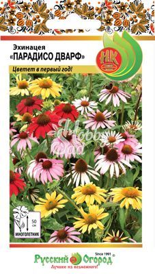 Цветы Эхинацея Парадисо Дварф,смесь (10 шт) Русский Огород