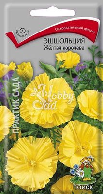 Цветы Эшшольция Желтая королева (0,2 г) Поиск