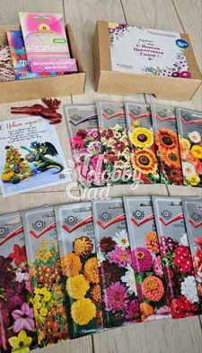 "Новогодний Презент" Поиск Цветы