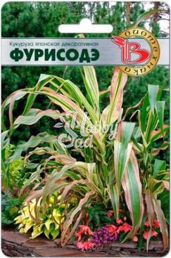 Цветы Кукуруза японская декоративная Фурисодэ (10 шт) Биотехника
